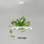 Modern LED planter lamp – stylish ambient lighting with a built-in planter for elegant indoor greenery.